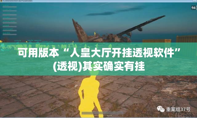 可用版本“人皇大厅开挂透视软件	”(透视)其实确实有挂