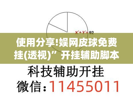 使用分享!娱网皮球免费挂(透视)”开挂辅助脚本+详细开挂安装教程