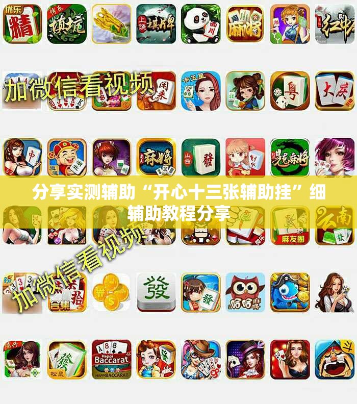 分享实测辅助“开心十三张辅助挂	”细辅助教程分享