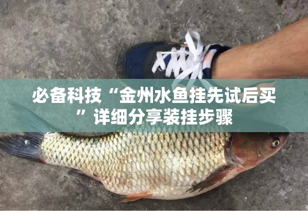 必备科技“金州水鱼挂先试后买”详细分享装挂步骤