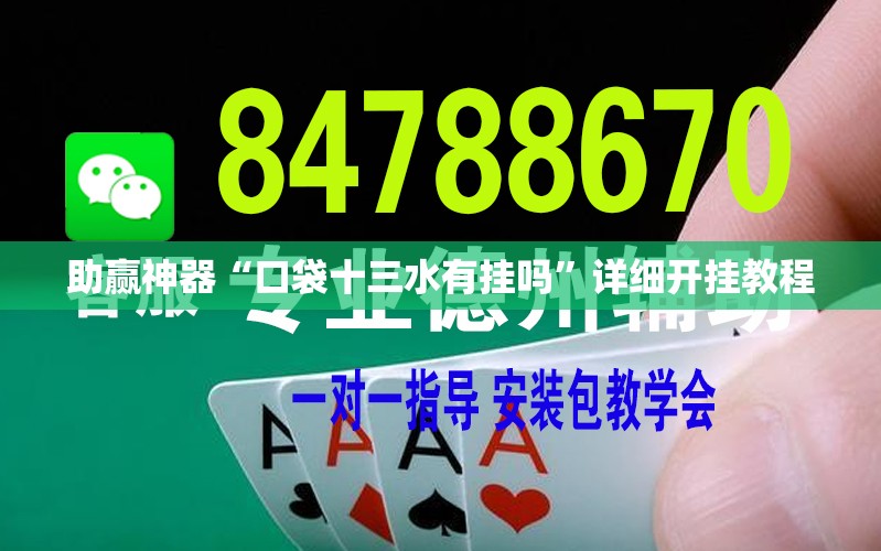 助赢神器“口袋十三水有挂吗”详细开挂教程