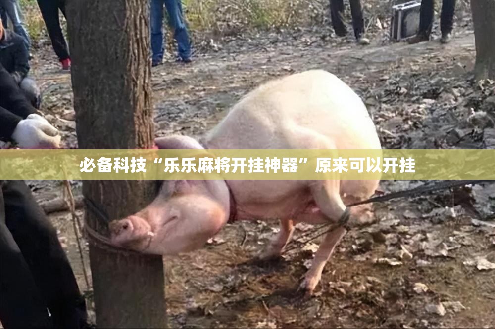 必备科技“乐乐麻将开挂神器”原来可以开挂
