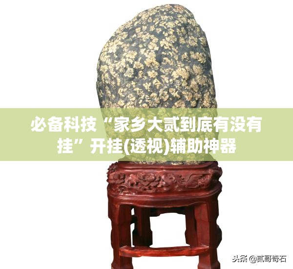 必备科技“家乡大贰到底有没有挂”开挂(透视)辅助神器