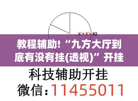 教程辅助!“九方大厅到底有没有挂(透视)”开挂辅助脚本+详细开挂安装教程