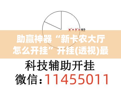助赢神器“新卡农大厅怎么开挂”开挂(透视)最新辅助详细