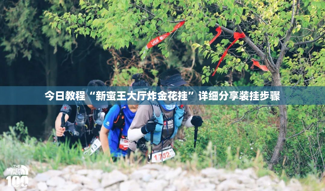 今日教程“新蛮王大厅炸金花挂”详细分享装挂步骤