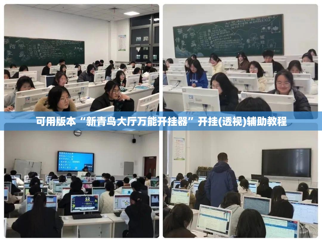 可用版本“新青鸟大厅万能开挂器”开挂(透视)辅助教程