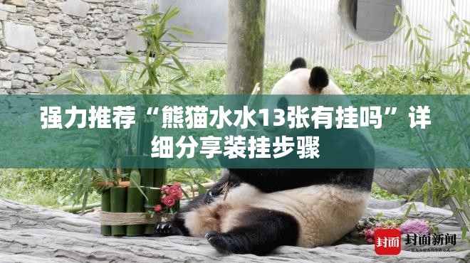 强力推荐“熊猫水水13张有挂吗	”详细分享装挂步骤