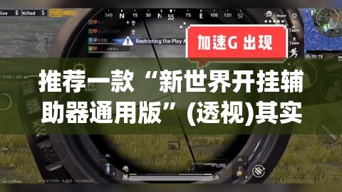 推荐一款“新世界开挂辅助器通用版”(透视)其实确实有挂