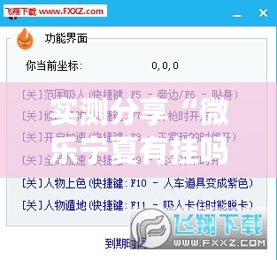 实测分享“微乐宁夏有挂吗”(透视挂)辅助下载教程