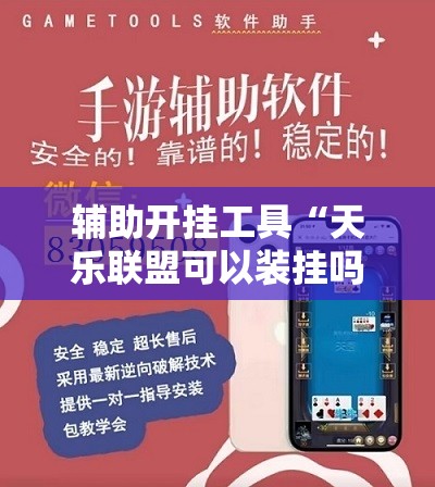 辅助开挂工具“天乐联盟可以装挂吗”细辅助教程分享