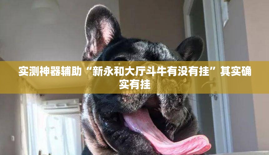 实测神器辅助“新永和大厅斗牛有没有挂”其实确实有挂