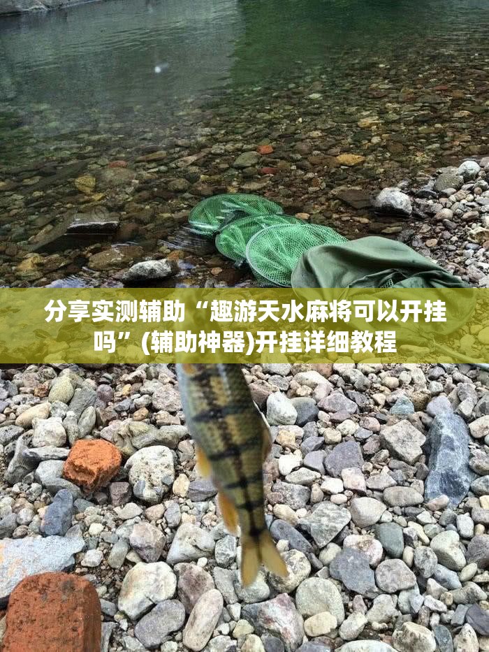 分享实测辅助“趣游天水麻将可以开挂吗”(辅助神器)开挂详细教程