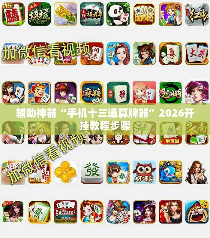 辅助神器“手机十三道算牌器”2026开挂教程步骤