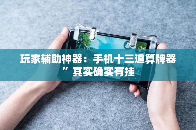 玩家辅助神器：手机十三道算牌器”其实确实有挂