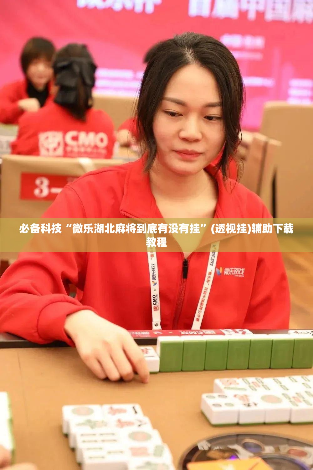 必备科技“微乐湖北麻将到底有没有挂”(透视挂)辅助下载教程
