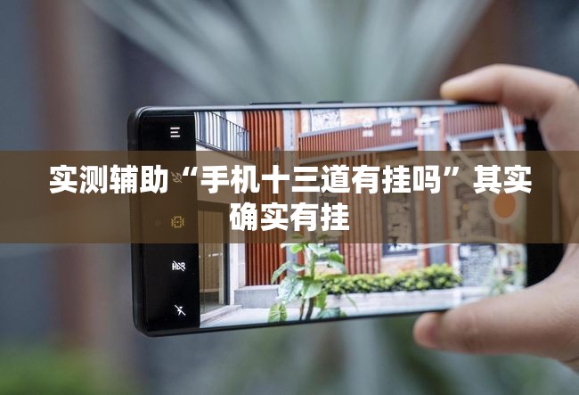 实测辅助“手机十三道有挂吗”其实确实有挂