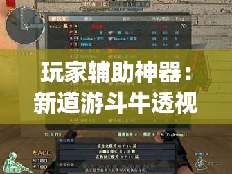 玩家辅助神器：新道游斗牛透视现场安装(透视)”开挂辅助脚本+详细开挂安装教程
