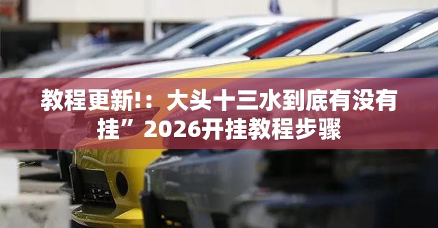 教程更新!：大头十三水到底有没有挂”2026开挂教程步骤
