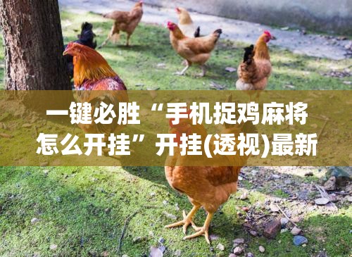 一键必胜“手机捉鸡麻将怎么开挂”开挂(透视)最新辅助详细