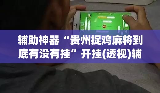 辅助神器“贵州捉鸡麻将到底有没有挂”开挂(透视)辅助神器