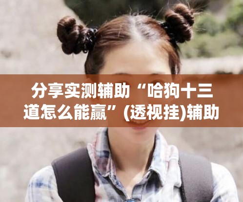 分享实测辅助“哈狗十三道怎么能赢”(透视挂)辅助下载教程