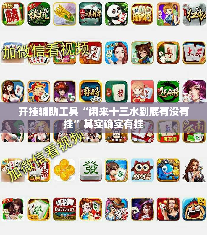 开挂辅助工具“闲来十三水到底有没有挂”其实确实有挂