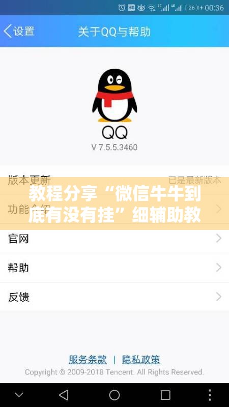 教程分享“微信牛牛到底有没有挂	”细辅助教程分享