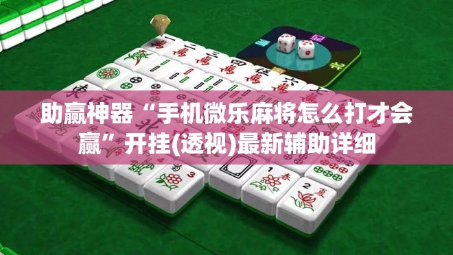 助赢神器“手机微乐麻将怎么打才会赢”开挂(透视)最新辅助详细
