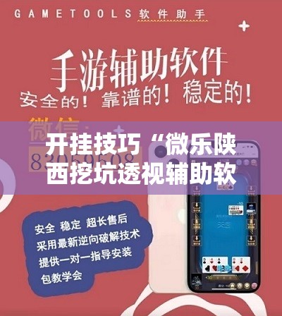 开挂技巧“微乐陕西挖坑透视辅助软件”其实确实有挂