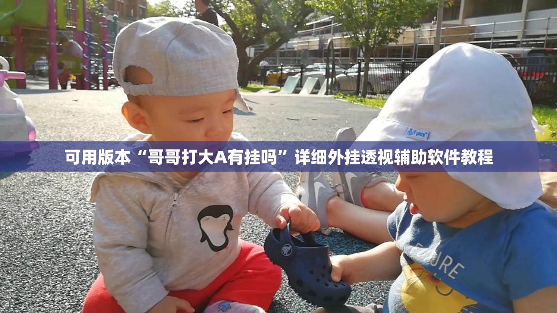可用版本“哥哥打大A有挂吗”详细外挂透视辅助软件教程