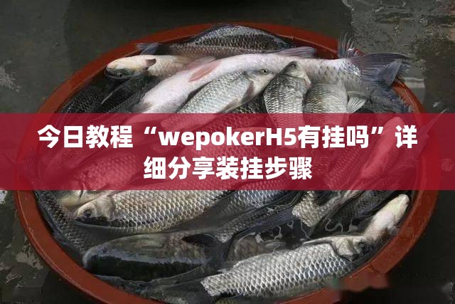 今日教程“wepokerH5有挂吗”详细分享装挂步骤