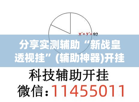 分享实测辅助“新战皇透视挂”(辅助神器)开挂详细教程