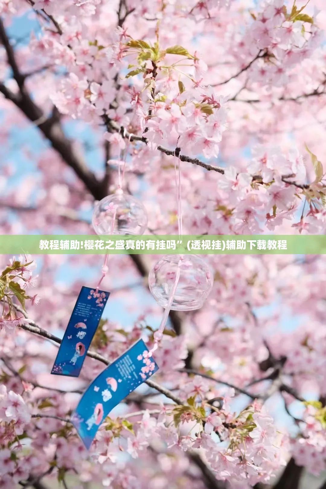 教程辅助!樱花之盛真的有挂吗”(透视挂)辅助下载教程