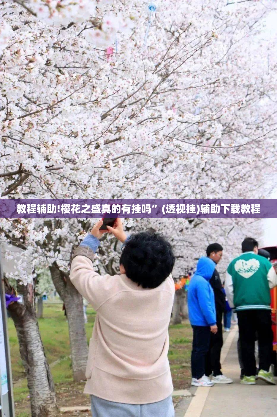 教程辅助!樱花之盛真的有挂吗”(透视挂)辅助下载教程