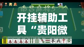 开挂辅助工具“贵阳微乐捉鸡麻将外卦辅助软件下载”详细外挂透视辅助软件教程