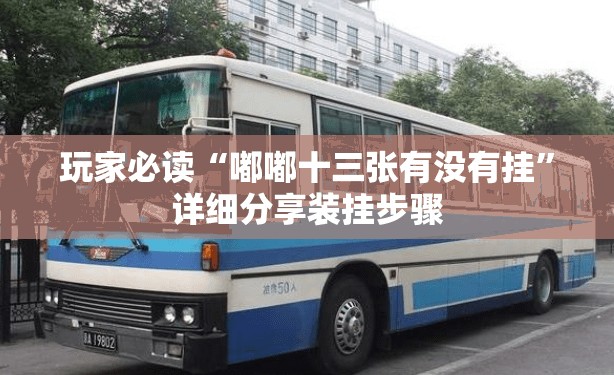 玩家必读“嘟嘟十三张有没有挂”详细分享装挂步骤