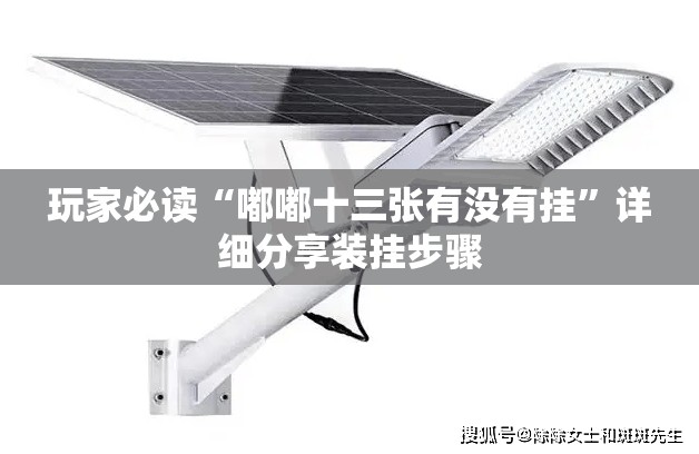 玩家必读“嘟嘟十三张有没有挂”详细分享装挂步骤