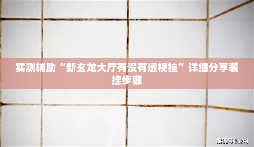 实测辅助“新玄龙大厅有没有透视挂”详细分享装挂步骤
