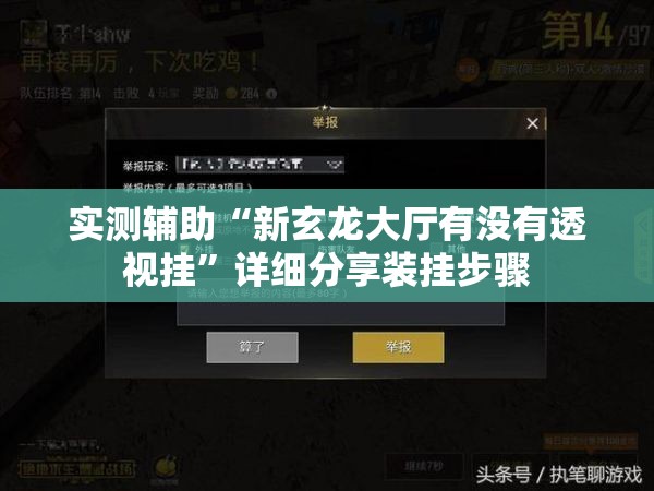 实测辅助“新玄龙大厅有没有透视挂”详细分享装挂步骤