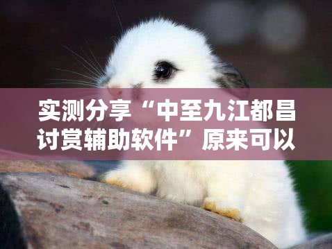 实测分享“中至九江都昌讨赏辅助软件”原来可以开挂