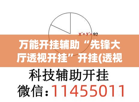 万能开挂辅助“先锋大厅透视开挂”开挂(透视)辅助教程