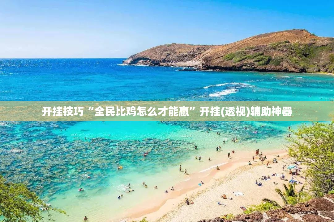 开挂技巧“全民比鸡怎么才能赢	”开挂(透视)辅助神器