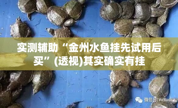 实测辅助“金州水鱼挂先试用后买	”(透视)其实确实有挂