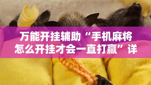 万能开挂辅助“手机麻将怎么开挂才会一直打赢”详细分享装挂步骤