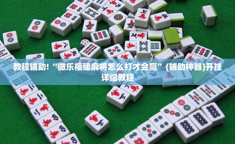 教程辅助!“微乐福建麻将怎么打才会赢”(辅助神器)开挂详细教程