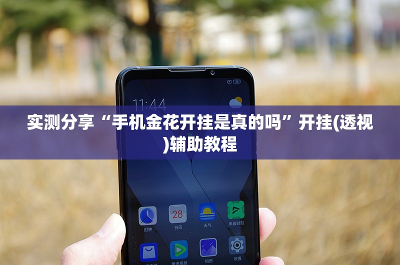 实测分享“手机金花开挂是真的吗”开挂(透视)辅助教程