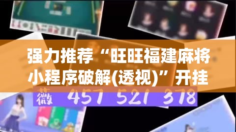 强力推荐“旺旺福建麻将小程序破解(透视)”开挂辅助脚本+详细开挂安装教程