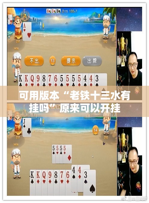 可用版本“老铁十三水有挂吗”原来可以开挂