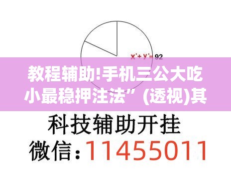 教程辅助!手机三公大吃小最稳押注法	”(透视)其实确实有挂